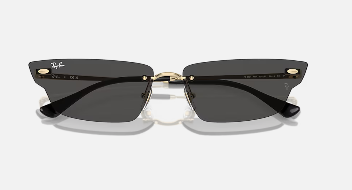 Ray-Ban RB3731 Anh GeometricLight GoldSunglasses Bio-Based 66-15 145 3N Gold/Grey