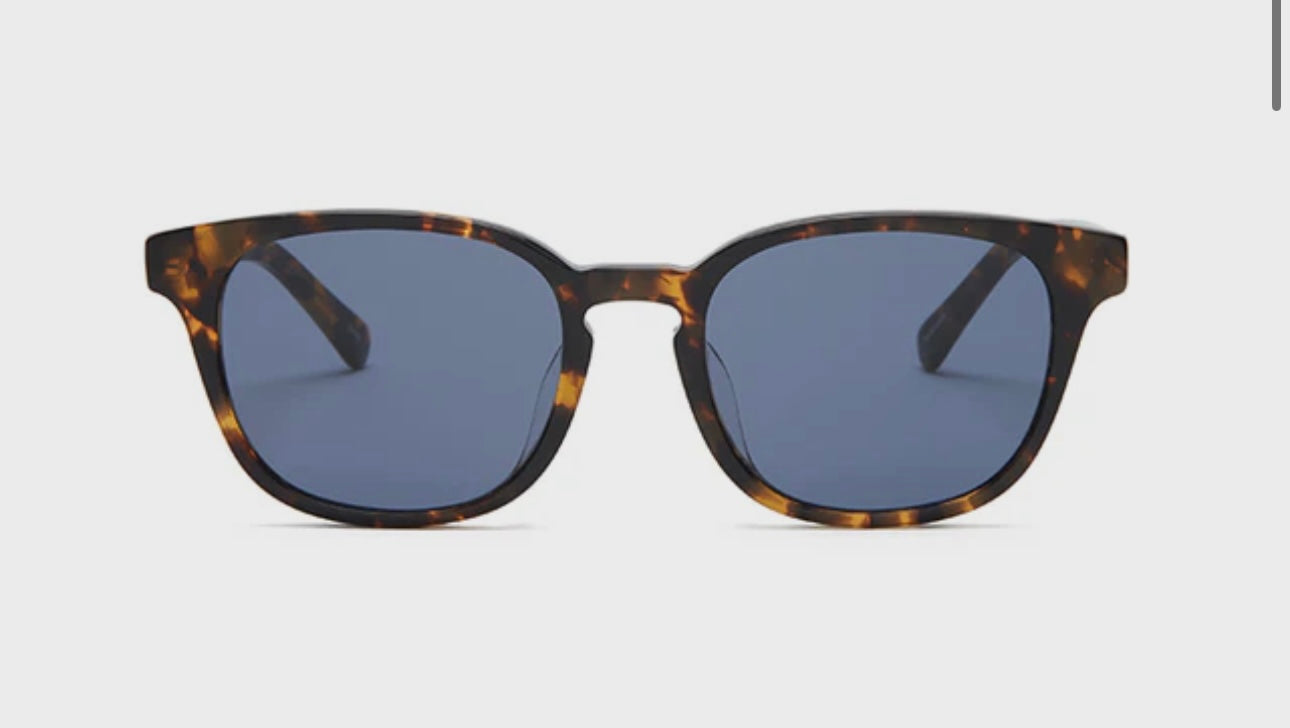 Mudar Covry Tortoise 50-19 140