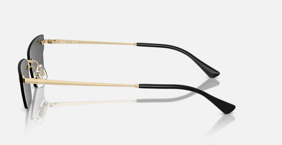 Ray-Ban RB3731 Anh GeometricLight GoldSunglasses Bio-Based 66-15 145 3N Gold/Grey